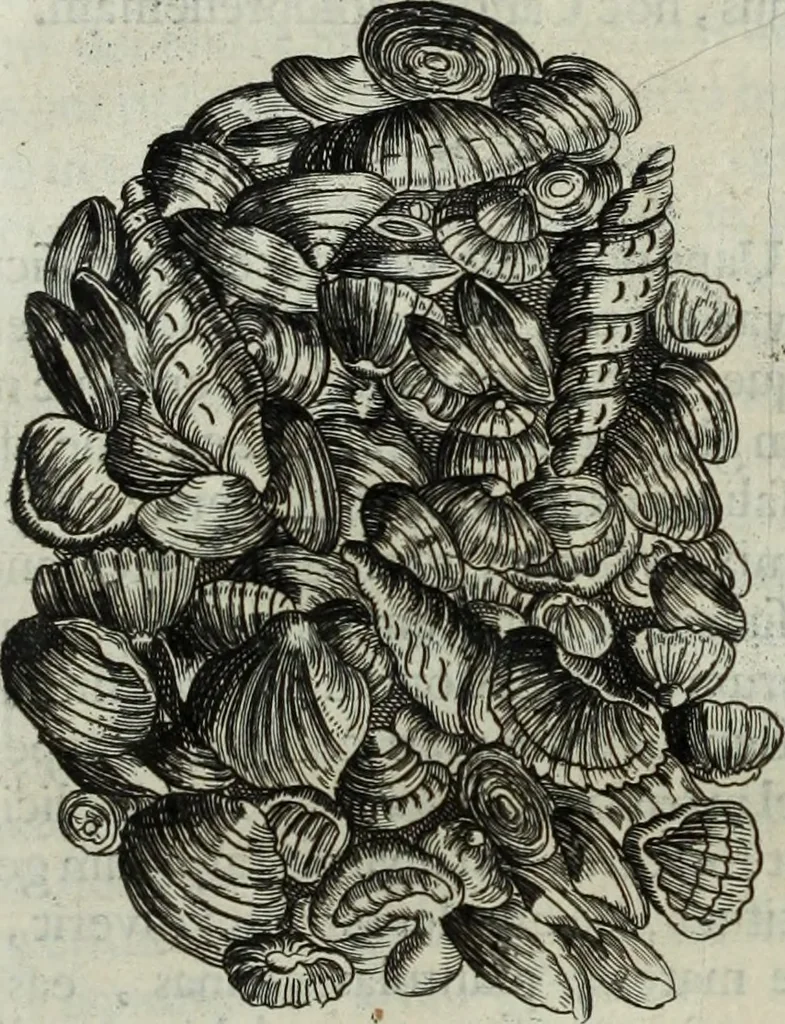 An illustration from Mundus Subterraneus, in XII libros digestus; quo divinum subterrestris mundi opificium, mira ergasteriorum naturæ in eo distributio, verbo pantámorphou Protei regnum, universæ denique naturæ majestas, 1665, leaf 483