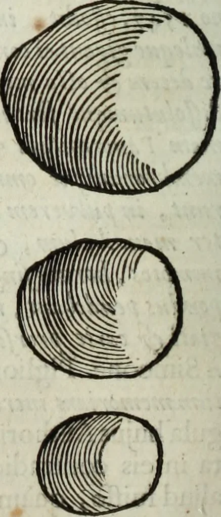 An illustration from Mundus Subterraneus, in XII libros digestus; quo divinum subterrestris mundi opificium, mira ergasteriorum naturæ in eo distributio, verbo pantámorphou Protei regnum, universæ denique naturæ majestas, 1665, leaf 495