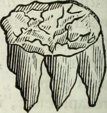 An illustration from Mundus Subterraneus, in XII libros digestus; quo divinum subterrestris mundi opificium, mira ergasteriorum naturæ in eo distributio, verbo pantámorphou Protei regnum, universæ denique naturæ majestas, 1665, leaf 497