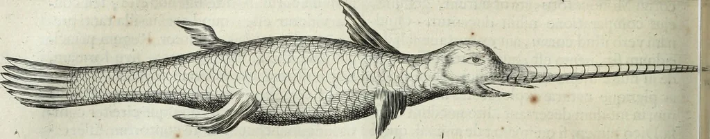 An illustration from Mundus Subterraneus, in XII libros digestus; quo divinum subterrestris mundi opificium, mira ergasteriorum naturæ in eo distributio, verbo pantámorphou Protei regnum, universæ denique naturæ majestas, 1665, leaf 499