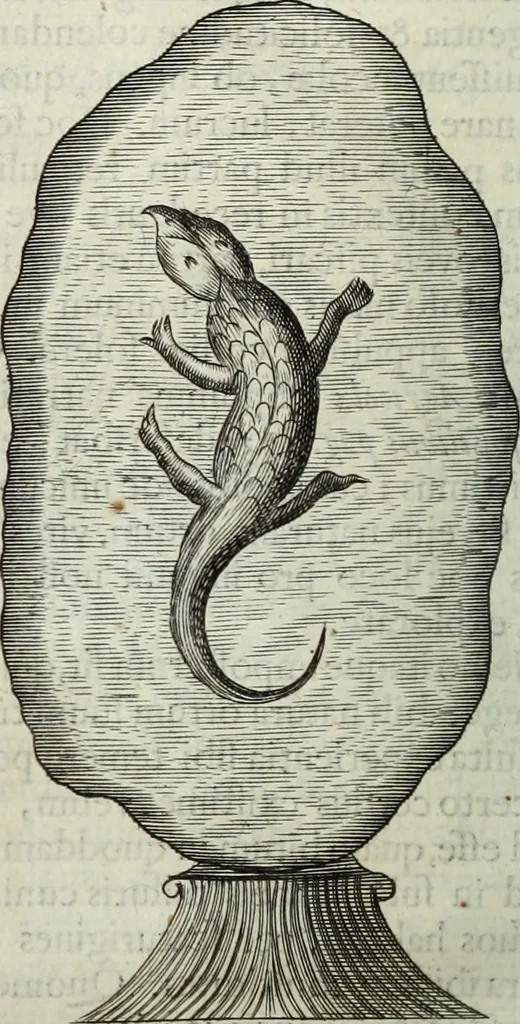 An illustration from Mundus Subterraneus, in XII libros digestus; quo divinum subterrestris mundi opificium, mira ergasteriorum naturæ in eo distributio, verbo pantámorphou Protei regnum, universæ denique naturæ majestas, 1665, leaf 511