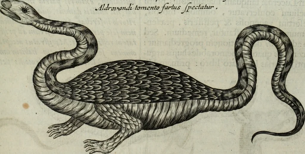 An illustration from Mundus Subterraneus, in XII libros digestus; quo divinum subterrestris mundi opificium, mira ergasteriorum naturæ in eo distributio, verbo pantámorphou Protei regnum, universæ denique naturæ majestas, 1665, leaf 528