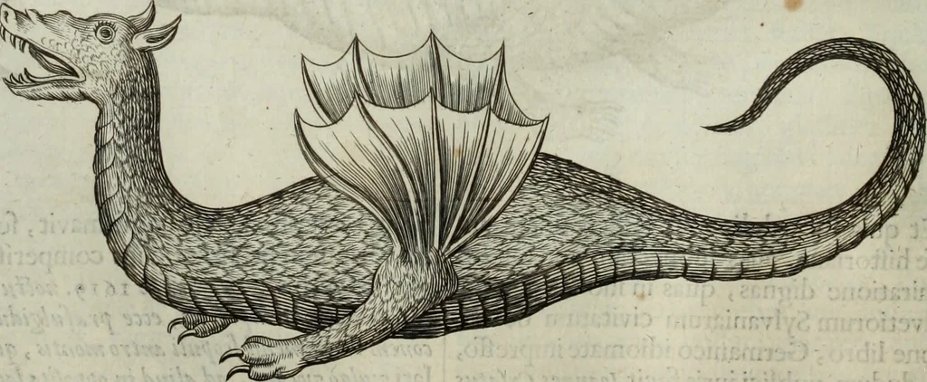 An illustration from Mundus Subterraneus, in XII libros digestus; quo divinum subterrestris mundi opificium, mira ergasteriorum naturæ in eo distributio, verbo pantámorphou Protei regnum, universæ denique naturæ majestas, 1665, leaf 529