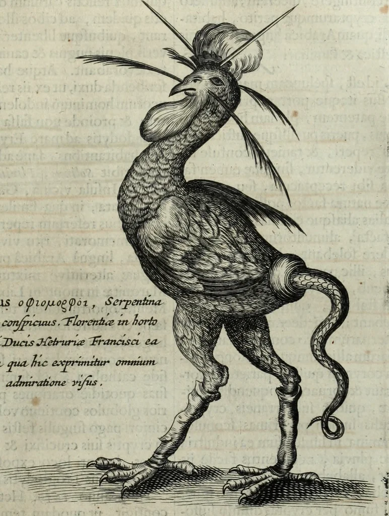 An illustration from Mundus Subterraneus, in XII libros digestus; quo divinum subterrestris mundi opificium, mira ergasteriorum naturæ in eo distributio, verbo pantámorphou Protei regnum, universæ denique naturæ majestas, 1665, leaf 532