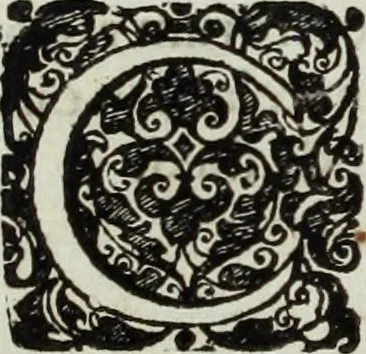 An illustration from Mundus Subterraneus, in XII libros digestus; quo divinum subterrestris mundi opificium, mira ergasteriorum naturæ in eo distributio, verbo pantámorphou Protei regnum, universæ denique naturæ majestas, 1665, leaf 539