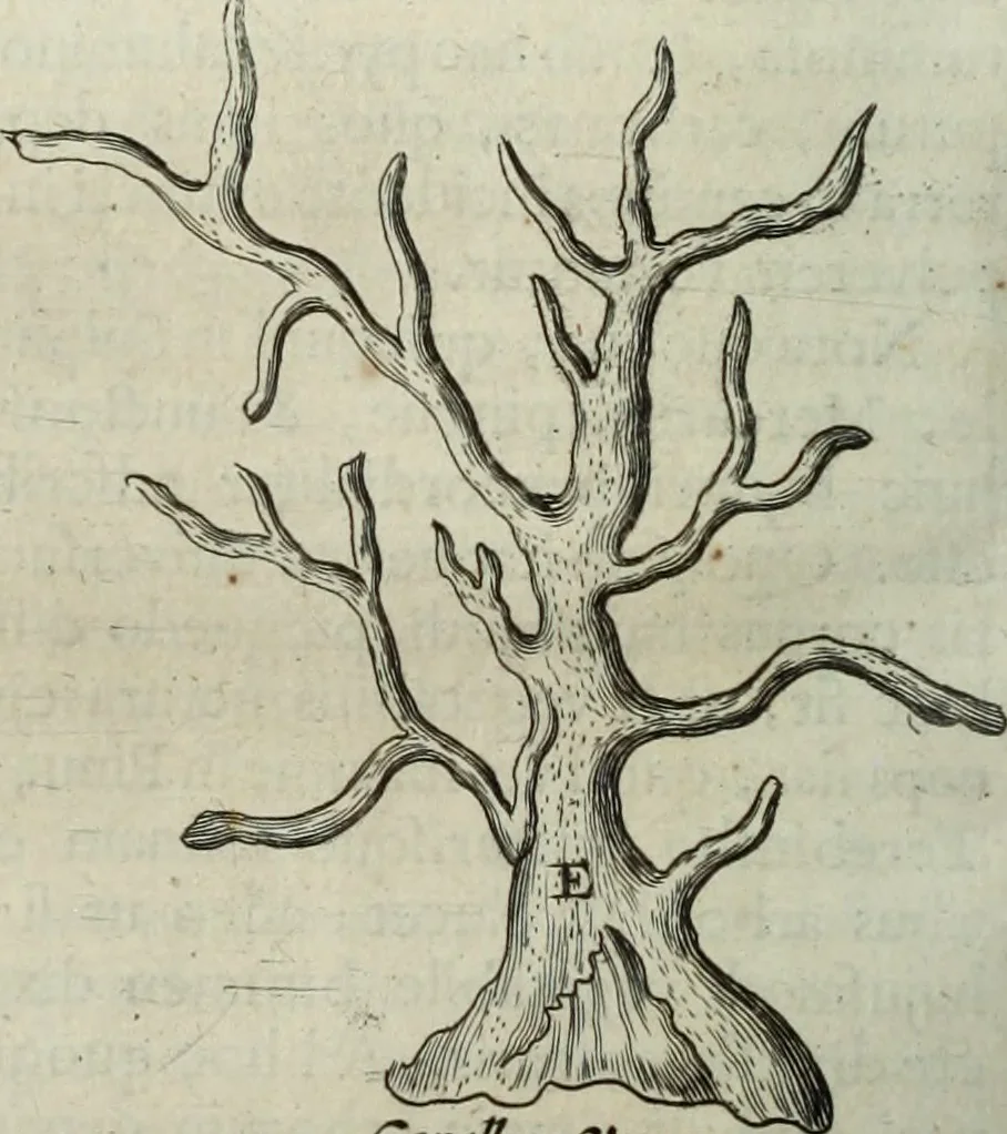An illustration from Mundus Subterraneus, in XII libros digestus; quo divinum subterrestris mundi opificium, mira ergasteriorum naturæ in eo distributio, verbo pantámorphou Protei regnum, universæ denique naturæ majestas, 1665, leaf 595