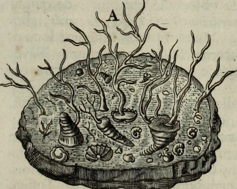 An illustration from Mundus Subterraneus, in XII libros digestus; quo divinum subterrestris mundi opificium, mira ergasteriorum naturæ in eo distributio, verbo pantámorphou Protei regnum, universæ denique naturæ majestas, 1665, leaf 595