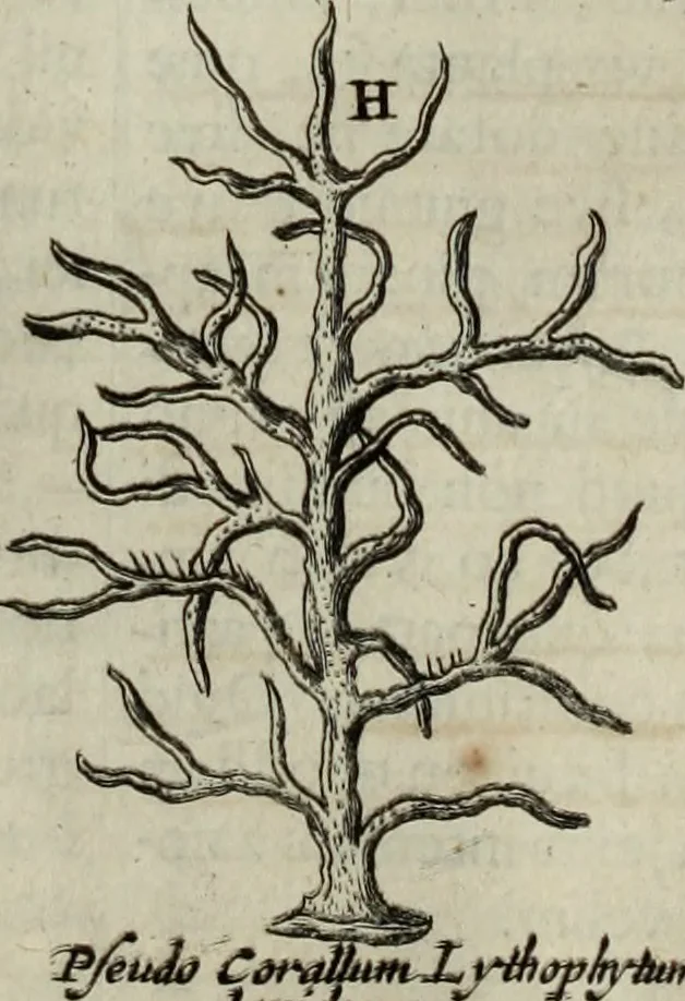 An illustration from Mundus Subterraneus, in XII libros digestus; quo divinum subterrestris mundi opificium, mira ergasteriorum naturæ in eo distributio, verbo pantámorphou Protei regnum, universæ denique naturæ majestas, 1665, leaf 595