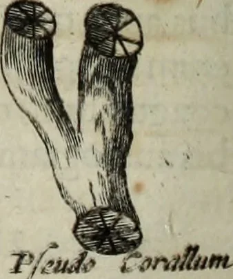 An illustration from Mundus Subterraneus, in XII libros digestus; quo divinum subterrestris mundi opificium, mira ergasteriorum naturæ in eo distributio, verbo pantámorphou Protei regnum, universæ denique naturæ majestas, 1665, leaf 595