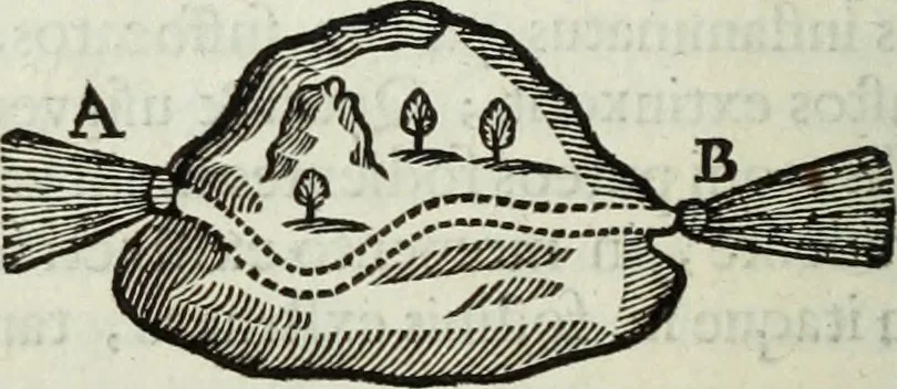 An illustration from Mundus Subterraneus, in XII libros digestus; quo divinum subterrestris mundi opificium, mira ergasteriorum naturæ in eo distributio, verbo pantámorphou Protei regnum, universæ denique naturæ majestas, 1665, leaf 613