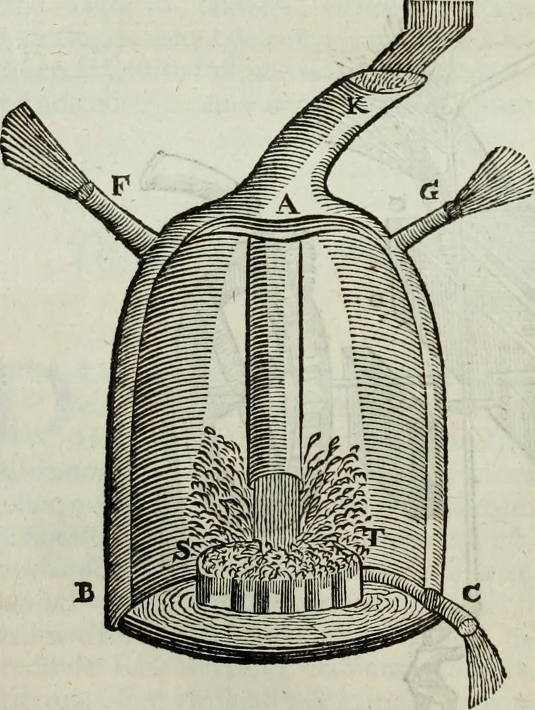 An illustration from Mundus Subterraneus, in XII libros digestus; quo divinum subterrestris mundi opificium, mira ergasteriorum naturæ in eo distributio, verbo pantámorphou Protei regnum, universæ denique naturæ majestas, 1665, leaf 613