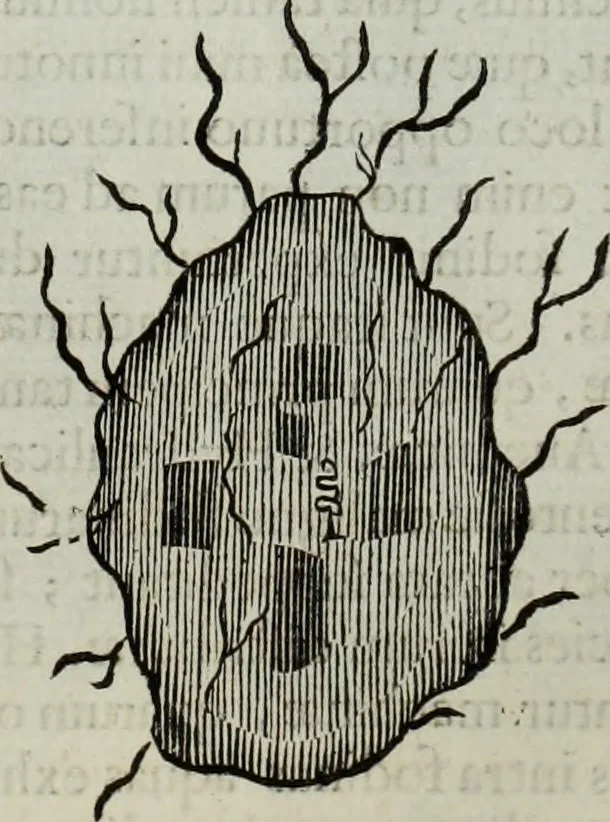 An illustration from Mundus Subterraneus, in XII libros digestus; quo divinum subterrestris mundi opificium, mira ergasteriorum naturæ in eo distributio, verbo pantámorphou Protei regnum, universæ denique naturæ majestas, 1665, leaf 626