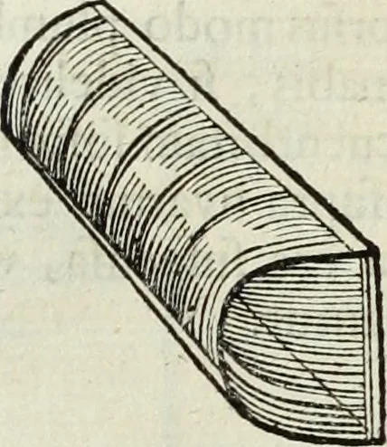 An illustration from Mundus Subterraneus, in XII libros digestus; quo divinum subterrestris mundi opificium, mira ergasteriorum naturæ in eo distributio, verbo pantámorphou Protei regnum, universæ denique naturæ majestas, 1665, leaf 685