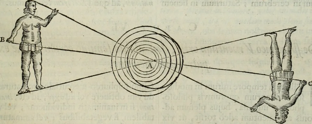 An illustration from Mundus Subterraneus, in XII libros digestus; quo divinum subterrestris mundi opificium, mira ergasteriorum naturæ in eo distributio, verbo pantámorphou Protei regnum, universæ denique naturæ majestas, 1665, leaf 778