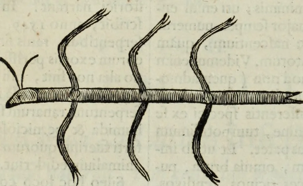 An illustration from Mundus Subterraneus, in XII libros digestus; quo divinum subterrestris mundi opificium, mira ergasteriorum naturæ in eo distributio, verbo pantámorphou Protei regnum, universæ denique naturæ majestas, 1665, leaf 794