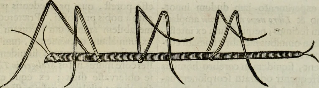 An illustration from Mundus Subterraneus, in XII libros digestus; quo divinum subterrestris mundi opificium, mira ergasteriorum naturæ in eo distributio, verbo pantámorphou Protei regnum, universæ denique naturæ majestas, 1665, leaf 794
