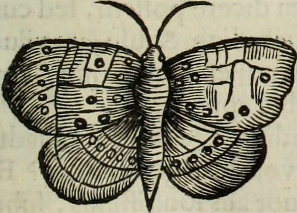 An illustration from Mundus Subterraneus, in XII libros digestus; quo divinum subterrestris mundi opificium, mira ergasteriorum naturæ in eo distributio, verbo pantámorphou Protei regnum, universæ denique naturæ majestas, 1665, leaf 802