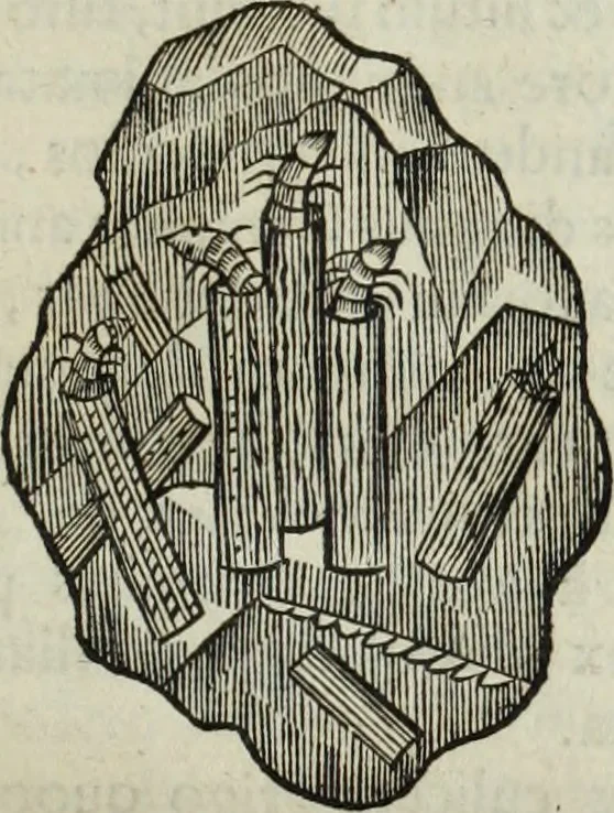 An illustration from Mundus Subterraneus, in XII libros digestus; quo divinum subterrestris mundi opificium, mira ergasteriorum naturæ in eo distributio, verbo pantámorphou Protei regnum, universæ denique naturæ majestas, 1665, leaf 804