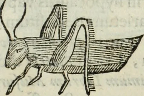 An illustration from Mundus Subterraneus, in XII libros digestus; quo divinum subterrestris mundi opificium, mira ergasteriorum naturæ in eo distributio, verbo pantámorphou Protei regnum, universæ denique naturæ majestas, 1665, leaf 806