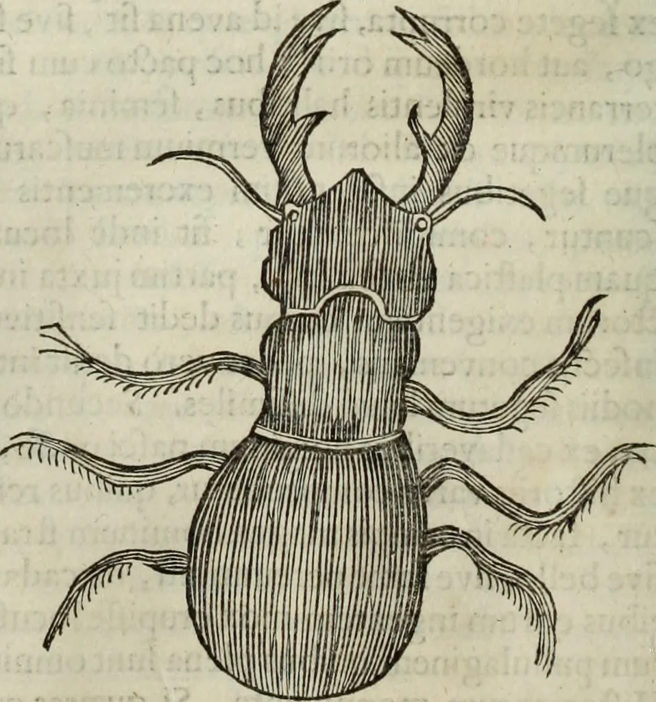 An illustration from Mundus Subterraneus, in XII libros digestus; quo divinum subterrestris mundi opificium, mira ergasteriorum naturæ in eo distributio, verbo pantámorphou Protei regnum, universæ denique naturæ majestas, 1665, leaf 807