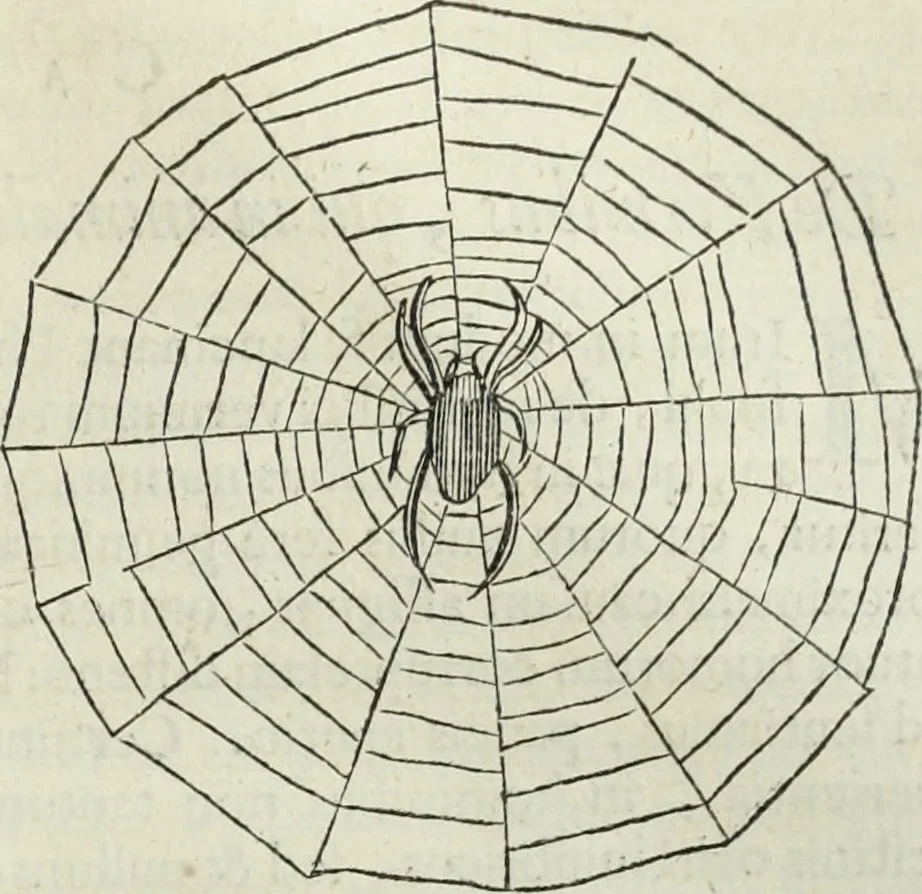 An illustration from Mundus Subterraneus, in XII libros digestus; quo divinum subterrestris mundi opificium, mira ergasteriorum naturæ in eo distributio, verbo pantámorphou Protei regnum, universæ denique naturæ majestas, 1665, leaf 812