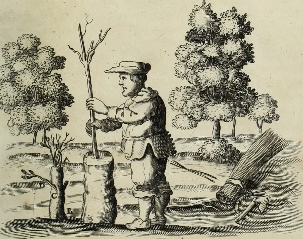 An illustration from Mundus Subterraneus, in XII libros digestus; quo divinum subterrestris mundi opificium, mira ergasteriorum naturæ in eo distributio, verbo pantámorphou Protei regnum, universæ denique naturæ majestas, 1665, leaf 830