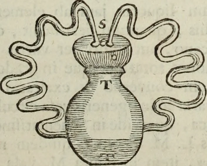 An illustration from Mundus Subterraneus, in XII libros digestus; quo divinum subterrestris mundi opificium, mira ergasteriorum naturæ in eo distributio, verbo pantámorphou Protei regnum, universæ denique naturæ majestas, 1665, leaf 849