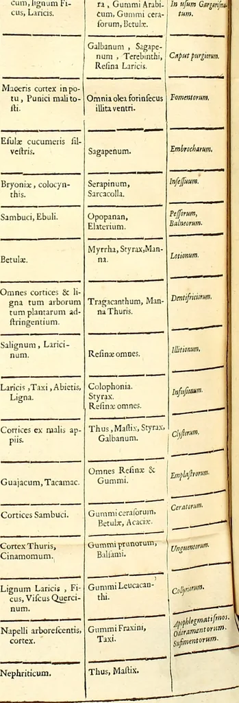 An illustration from Mundus Subterraneus, in XII libros digestus; quo divinum subterrestris mundi opificium, mira ergasteriorum naturæ in eo distributio, verbo pantámorphou Protei regnum, universæ denique naturæ majestas, 1665, leaf 861