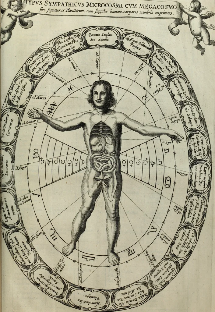 An illustration from Mundus Subterraneus, in XII libros digestus; quo divinum subterrestris mundi opificium, mira ergasteriorum naturæ in eo distributio, verbo pantámorphou Protei regnum, universæ denique naturæ majestas, 1665, leaf 864