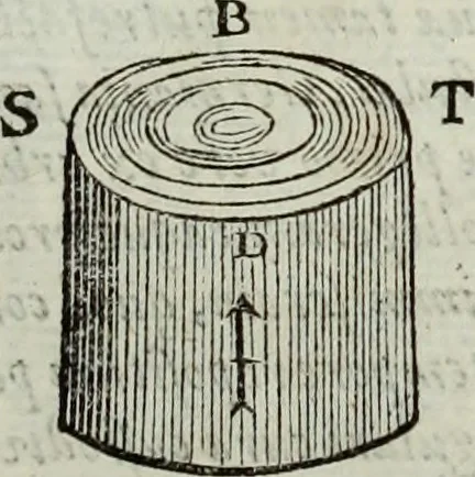 An illustration from Mundus Subterraneus, in XII libros digestus; quo divinum subterrestris mundi opificium, mira ergasteriorum naturæ in eo distributio, verbo pantámorphou Protei regnum, universæ denique naturæ majestas, 1665, leaf 869