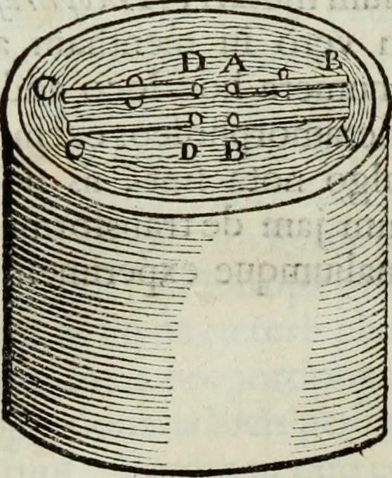 An illustration from Mundus Subterraneus, in XII libros digestus; quo divinum subterrestris mundi opificium, mira ergasteriorum naturæ in eo distributio, verbo pantámorphou Protei regnum, universæ denique naturæ majestas, 1665, leaf 869