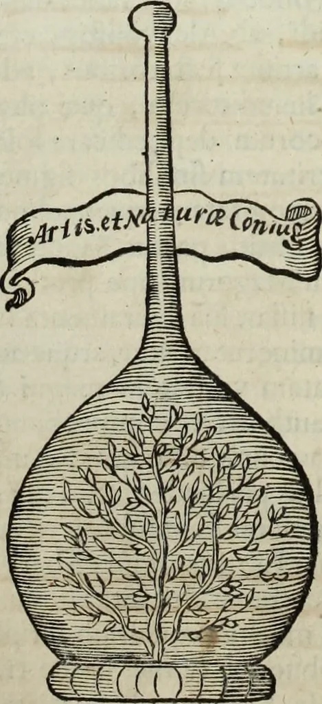 An illustration from Mundus Subterraneus, in XII libros digestus; quo divinum subterrestris mundi opificium, mira ergasteriorum naturæ in eo distributio, verbo pantámorphou Protei regnum, universæ denique naturæ majestas, 1665, leaf 873
