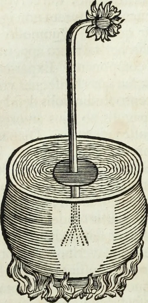 An illustration from Mundus Subterraneus, in XII libros digestus; quo divinum subterrestris mundi opificium, mira ergasteriorum naturæ in eo distributio, verbo pantámorphou Protei regnum, universæ denique naturæ majestas, 1665, leaf 877