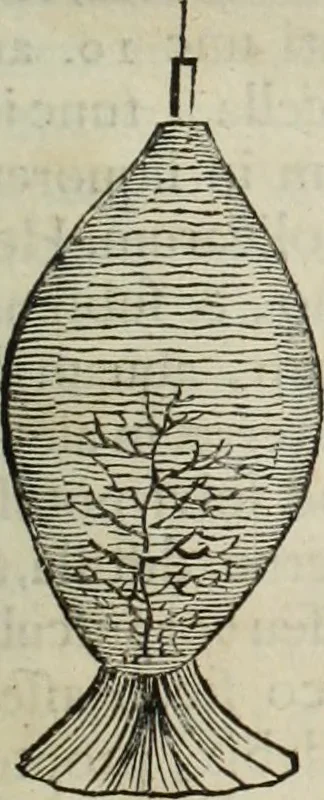 An illustration from Mundus Subterraneus, in XII libros digestus; quo divinum subterrestris mundi opificium, mira ergasteriorum naturæ in eo distributio, verbo pantámorphou Protei regnum, universæ denique naturæ majestas, 1665, leaf 890