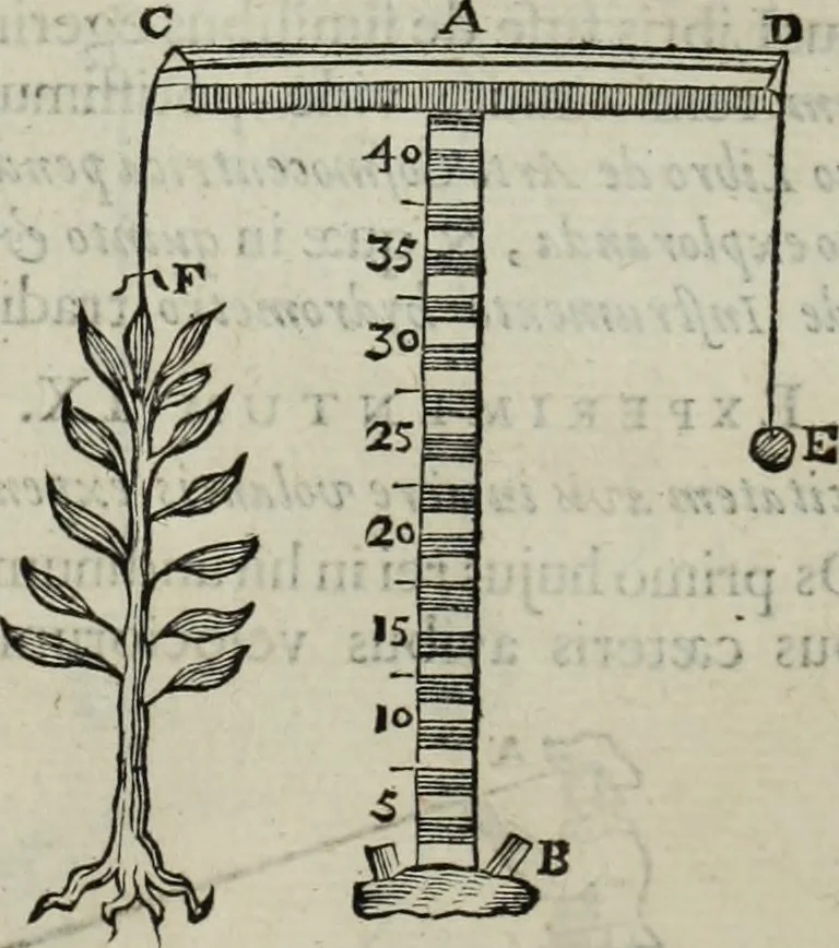 An illustration from Mundus Subterraneus, in XII libros digestus; quo divinum subterrestris mundi opificium, mira ergasteriorum naturæ in eo distributio, verbo pantámorphou Protei regnum, universæ denique naturæ majestas, 1665, leaf 906