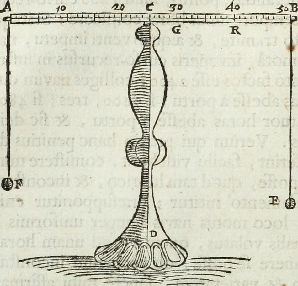 An illustration from Mundus Subterraneus, in XII libros digestus; quo divinum subterrestris mundi opificium, mira ergasteriorum naturæ in eo distributio, verbo pantámorphou Protei regnum, universæ denique naturæ majestas, 1665, leaf 91