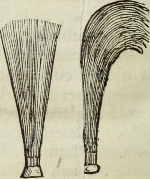 An illustration from Mundus Subterraneus, in XII libros digestus; quo divinum subterrestris mundi opificium, mira ergasteriorum naturæ in eo distributio, verbo pantámorphou Protei regnum, universæ denique naturæ majestas, 1665, leaf 913