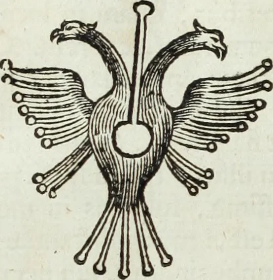 An illustration from Mundus Subterraneus, in XII libros digestus; quo divinum subterrestris mundi opificium, mira ergasteriorum naturæ in eo distributio, verbo pantámorphou Protei regnum, universæ denique naturæ majestas, 1665, leaf 939