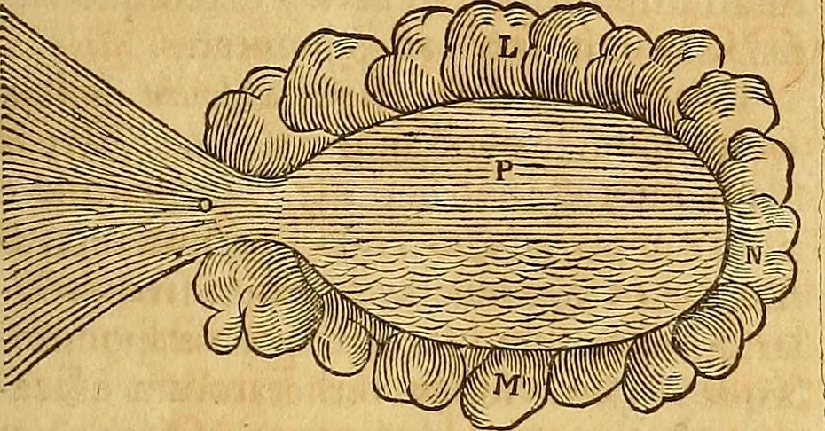An illustration from Mundus subterraneus, in XII libros digestus : qvo divinum subterrestris mundi opificium, mira ergasteriorum naturae in eo distributio, verbo [pantamorphon] Protei regnum, universae denique naturae majestas & divitiae summa rerum varietate exponuntur, abditorum effectuum causae acri indagine inquistae demonstrantur, cognitae per artis & naturae conjugium ad humanae vitae necessarium usum vario experimentorum apparata, necnon novo modo & ratione applicantur. Ad Alexandrum VII. pont. opt. max., 1678, leaf 288