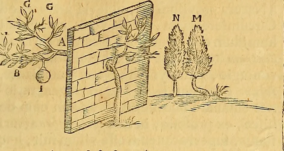 An illustration from Mundus subterraneus, in XII libros digestus : qvo divinum subterrestris mundi opificium, mira ergasteriorum naturae in eo distributio, verbo [pantamorphon] Protei regnum, universae denique naturae majestas & divitiae summa rerum varietate exponuntur, abditorum effectuum causae acri indagine inquistae demonstrantur, cognitae per artis & naturae conjugium ad humanae vitae necessarium usum vario experimentorum apparata, necnon novo modo & ratione applicantur. Ad Alexandrum VII. pont. opt. max., 1678, leaf 36