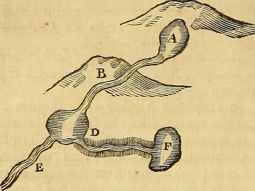 An illustration from Mundus subterraneus, in XII libros digestus : qvo divinum subterrestris mundi opificium, mira ergasteriorum naturae in eo distributio, verbo [pantamorphon] Protei regnum, universae denique naturae majestas & divitiae summa rerum varietate exponuntur, abditorum effectuum causae acri indagine inquistae demonstrantur, cognitae per artis & naturae conjugium ad humanae vitae necessarium usum vario experimentorum apparata, necnon novo modo & ratione applicantur. Ad Alexandrum VII. pont. opt. max., 1678, leaf 383