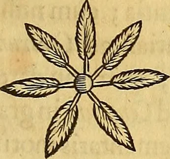 An illustration from Mundus subterraneus, in XII libros digestus : qvo divinum subterrestris mundi opificium, mira ergasteriorum naturae in eo distributio, verbo [pantamorphon] Protei regnum, universae denique naturae majestas & divitiae summa rerum varietate exponuntur, abditorum effectuum causae acri indagine inquistae demonstrantur, cognitae per artis & naturae conjugium ad humanae vitae necessarium usum vario experimentorum apparata, necnon novo modo & ratione applicantur. Ad Alexandrum VII. pont. opt. max., 1678, leaf 42