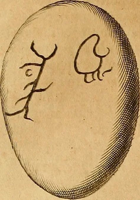 An illustration from Mundus subterraneus, in XII libros digestus : qvo divinum subterrestris mundi opificium, mira ergasteriorum naturae in eo distributio, verbo [pantamorphon] Protei regnum, universae denique naturae majestas & divitiae summa rerum varietate exponuntur, abditorum effectuum causae acri indagine inquistae demonstrantur, cognitae per artis & naturae conjugium ad humanae vitae necessarium usum vario experimentorum apparata, necnon novo modo & ratione applicantur. Ad Alexandrum VII. pont. opt. max., 1678, leaf 469