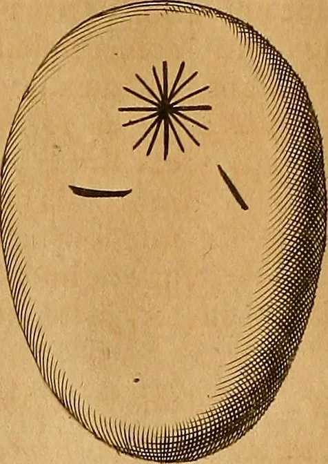 An illustration from Mundus subterraneus, in XII libros digestus : qvo divinum subterrestris mundi opificium, mira ergasteriorum naturae in eo distributio, verbo [pantamorphon] Protei regnum, universae denique naturae majestas & divitiae summa rerum varietate exponuntur, abditorum effectuum causae acri indagine inquistae demonstrantur, cognitae per artis & naturae conjugium ad humanae vitae necessarium usum vario experimentorum apparata, necnon novo modo & ratione applicantur. Ad Alexandrum VII. pont. opt. max., 1678, leaf 469