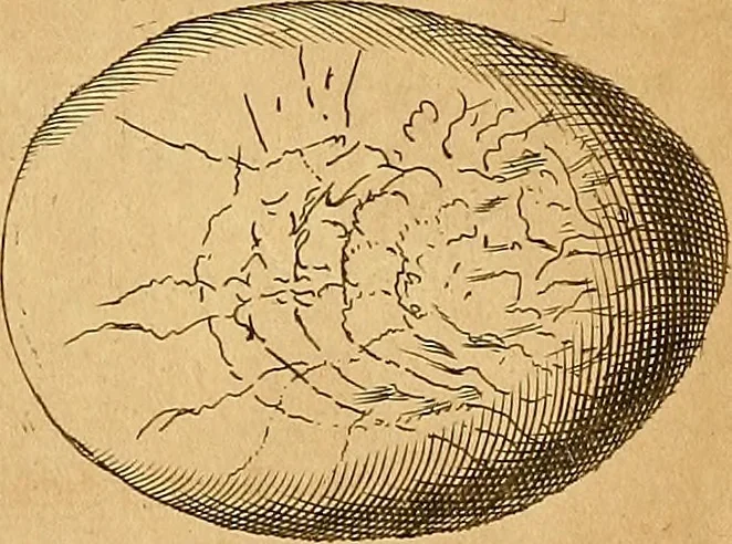 An illustration from Mundus subterraneus, in XII libros digestus : qvo divinum subterrestris mundi opificium, mira ergasteriorum naturae in eo distributio, verbo [pantamorphon] Protei regnum, universae denique naturae majestas & divitiae summa rerum varietate exponuntur, abditorum effectuum causae acri indagine inquistae demonstrantur, cognitae per artis & naturae conjugium ad humanae vitae necessarium usum vario experimentorum apparata, necnon novo modo & ratione applicantur. Ad Alexandrum VII. pont. opt. max., 1678, leaf 469