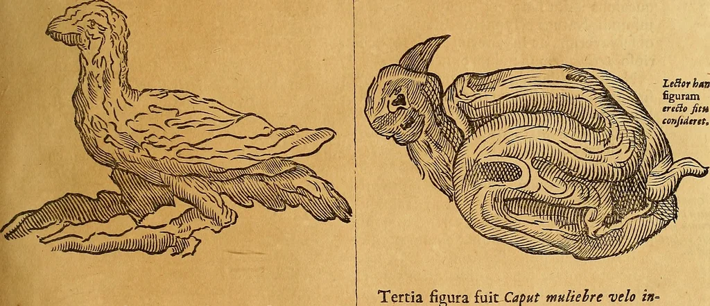 An illustration from Mundus subterraneus, in XII libros digestus : qvo divinum subterrestris mundi opificium, mira ergasteriorum naturae in eo distributio, verbo [pantamorphon] Protei regnum, universae denique naturae majestas & divitiae summa rerum varietate exponuntur, abditorum effectuum causae acri indagine inquistae demonstrantur, cognitae per artis & naturae conjugium ad humanae vitae necessarium usum vario experimentorum apparata, necnon novo modo & ratione applicantur. Ad Alexandrum VII. pont. opt. max., 1678, leaf 470