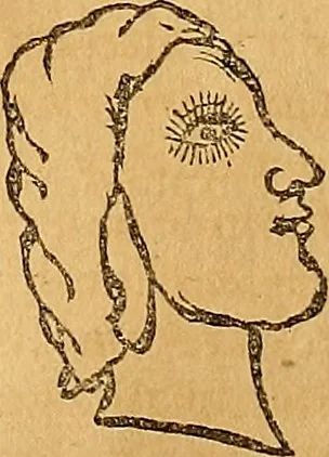An illustration from Mundus subterraneus, in XII libros digestus : qvo divinum subterrestris mundi opificium, mira ergasteriorum naturae in eo distributio, verbo [pantamorphon] Protei regnum, universae denique naturae majestas & divitiae summa rerum varietate exponuntur, abditorum effectuum causae acri indagine inquistae demonstrantur, cognitae per artis & naturae conjugium ad humanae vitae necessarium usum vario experimentorum apparata, necnon novo modo & ratione applicantur. Ad Alexandrum VII. pont. opt. max., 1678, leaf 470