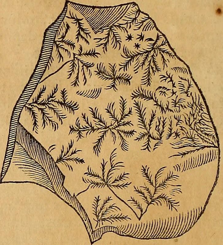 An illustration from Mundus subterraneus, in XII libros digestus : qvo divinum subterrestris mundi opificium, mira ergasteriorum naturae in eo distributio, verbo [pantamorphon] Protei regnum, universae denique naturae majestas & divitiae summa rerum varietate exponuntur, abditorum effectuum causae acri indagine inquistae demonstrantur, cognitae per artis & naturae conjugium ad humanae vitae necessarium usum vario experimentorum apparata, necnon novo modo & ratione applicantur. Ad Alexandrum VII. pont. opt. max., 1678, leaf 473