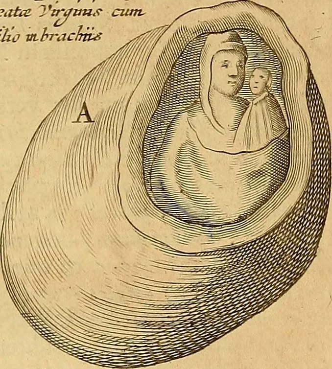 An illustration from Mundus subterraneus, in XII libros digestus : qvo divinum subterrestris mundi opificium, mira ergasteriorum naturae in eo distributio, verbo [pantamorphon] Protei regnum, universae denique naturae majestas & divitiae summa rerum varietate exponuntur, abditorum effectuum causae acri indagine inquistae demonstrantur, cognitae per artis & naturae conjugium ad humanae vitae necessarium usum vario experimentorum apparata, necnon novo modo & ratione applicantur. Ad Alexandrum VII. pont. opt. max., 1678, leaf 475