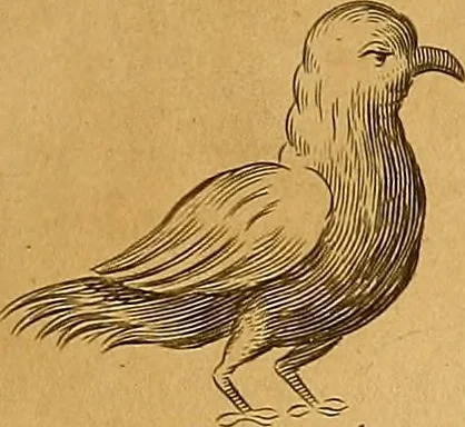 An illustration from Mundus subterraneus, in XII libros digestus : qvo divinum subterrestris mundi opificium, mira ergasteriorum naturae in eo distributio, verbo [pantamorphon] Protei regnum, universae denique naturae majestas & divitiae summa rerum varietate exponuntur, abditorum effectuum causae acri indagine inquistae demonstrantur, cognitae per artis & naturae conjugium ad humanae vitae necessarium usum vario experimentorum apparata, necnon novo modo & ratione applicantur. Ad Alexandrum VII. pont. opt. max., 1678, leaf 476